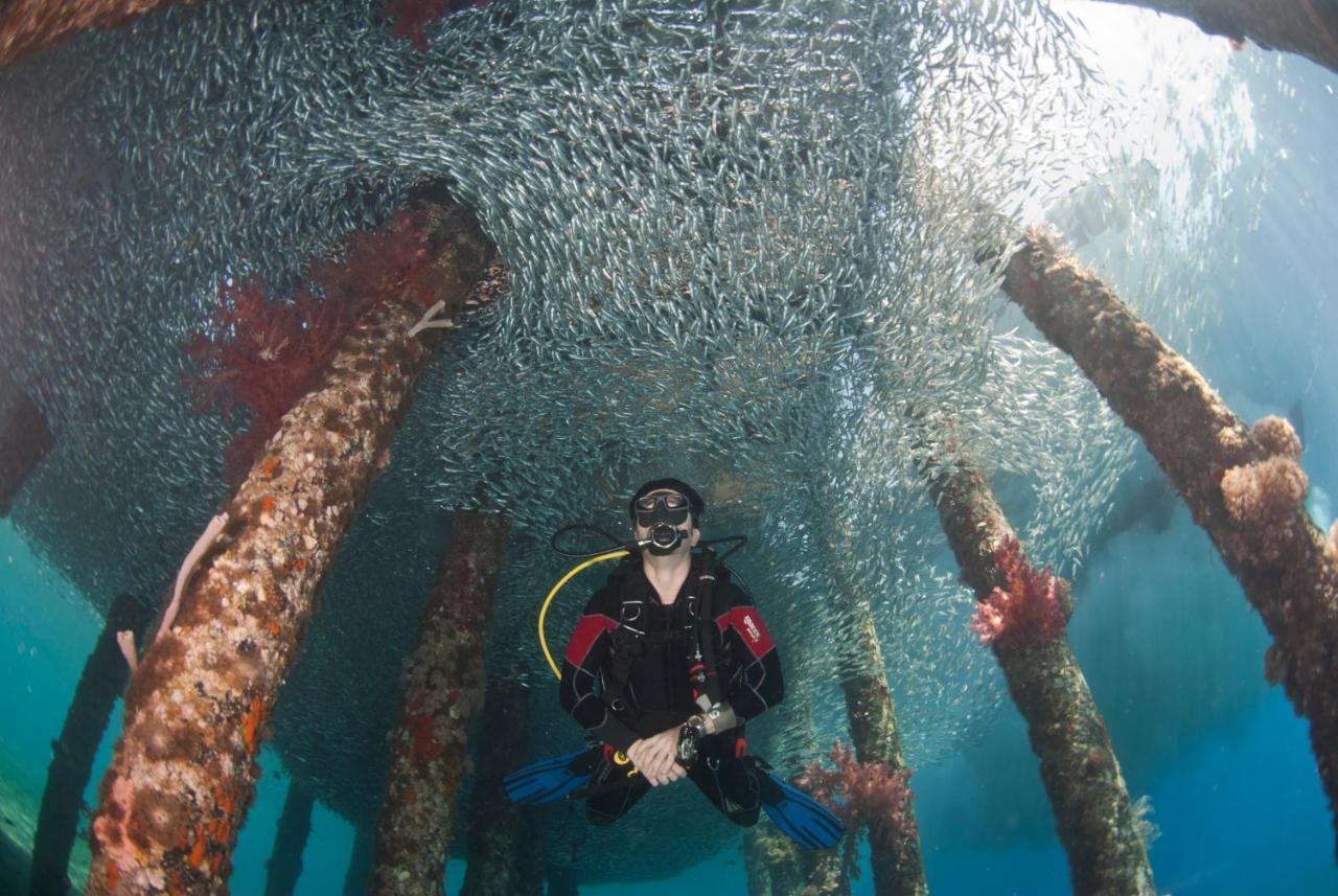 Aqaba Adventure Divers Resort & Dive Center Exterior foto