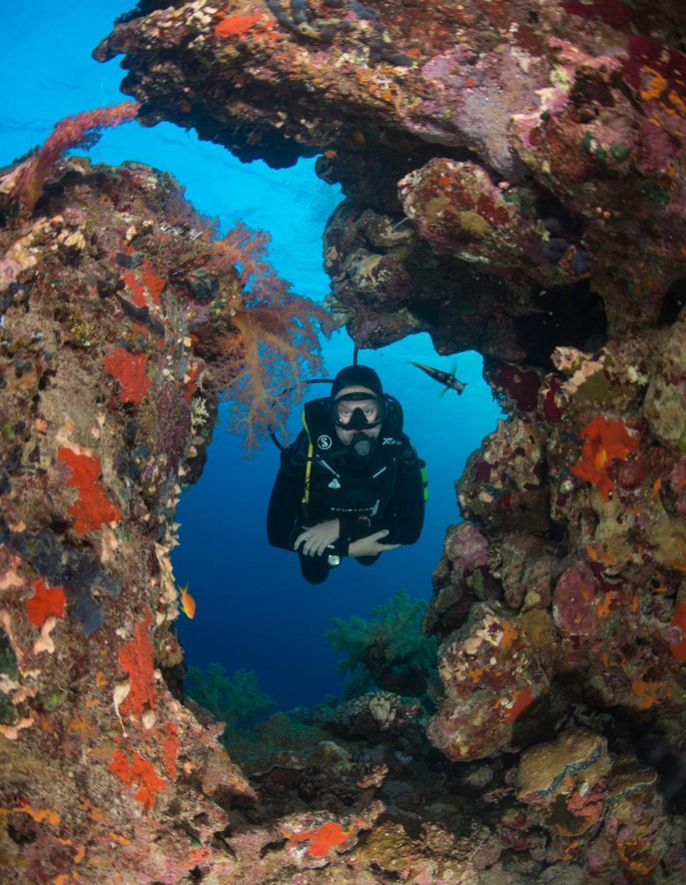 Aqaba Adventure Divers Resort & Dive Center Exterior foto